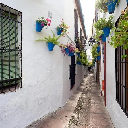 Centro Azahar Ii Apartment *